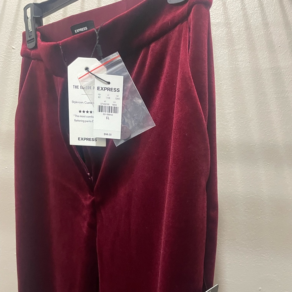 Express velvet editor pants